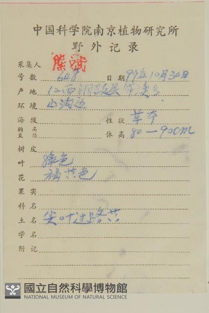 山白蘭藏品圖，第2張