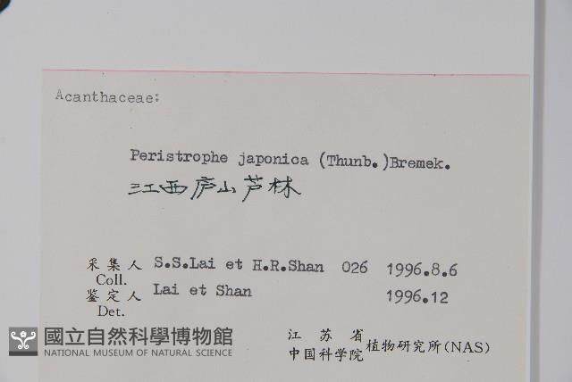 九頭獅子草藏品圖，第2張