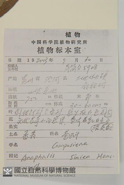 香青藏品圖，第2張