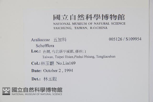 登錄號:S109954藏品圖，第2張