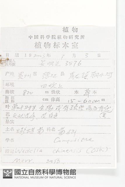 蟛蜞菊藏品圖，第2張