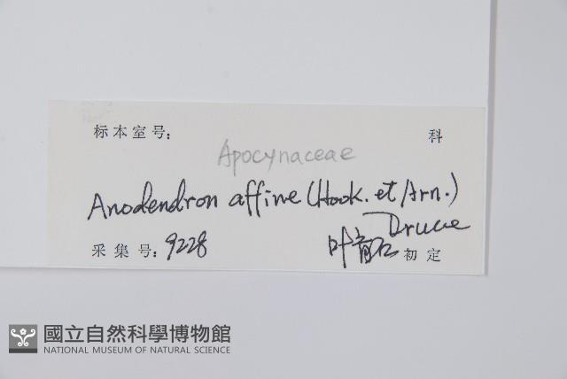 小錦蘭藏品圖，第2張