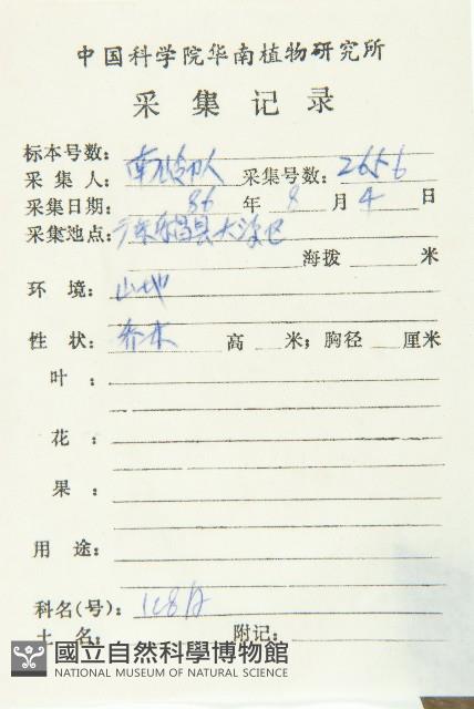 禿瓣杜英藏品圖，第2張