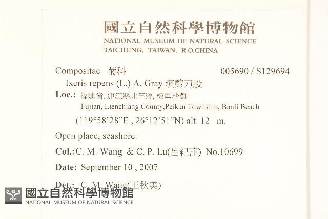 濱剪刀股藏品圖，第2張