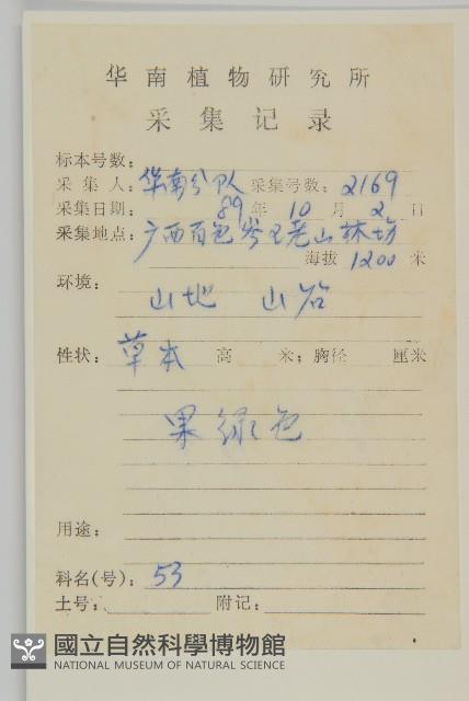 雀舌草藏品圖，第2張