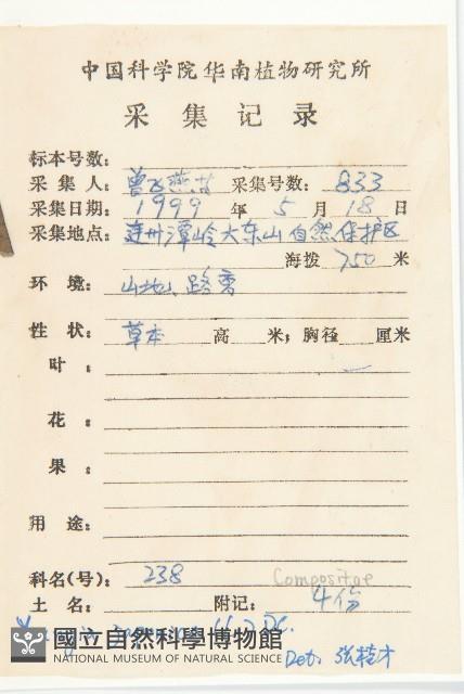 黃鵪菜藏品圖，第2張