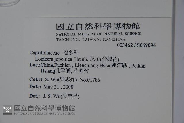 忍冬、金銀花藏品圖，第2張
