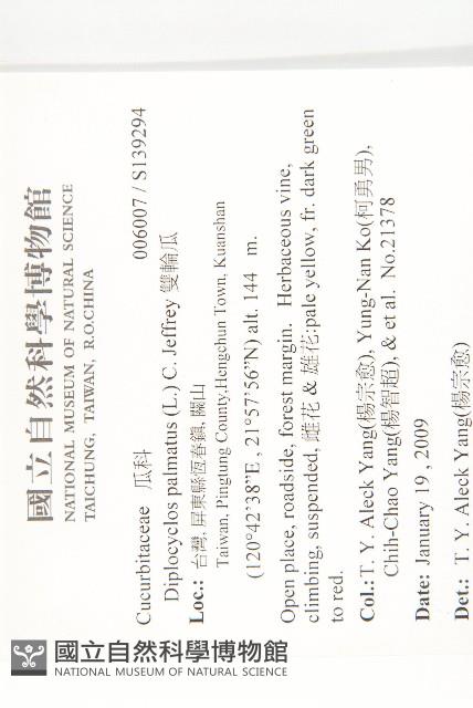 雙輪瓜藏品圖，第2張