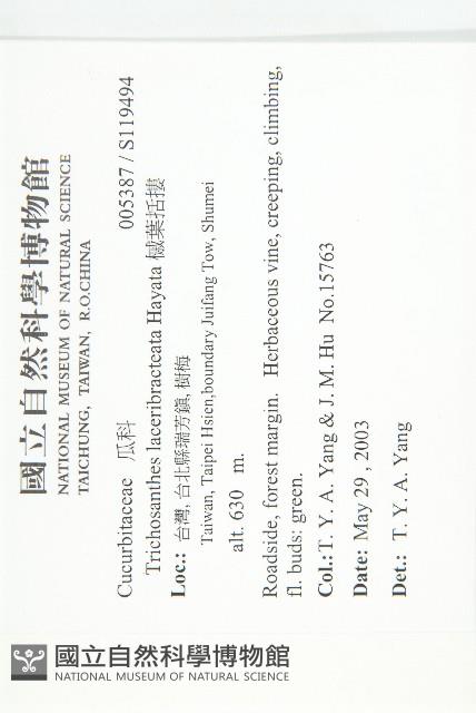 王瓜藏品圖，第2張