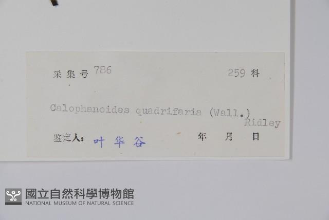 登錄號:S038494藏品圖，第2張