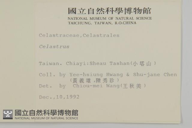 登錄號:S009194藏品圖，第2張