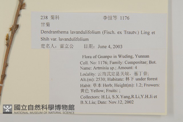 姜菱菊藏品圖，第2張