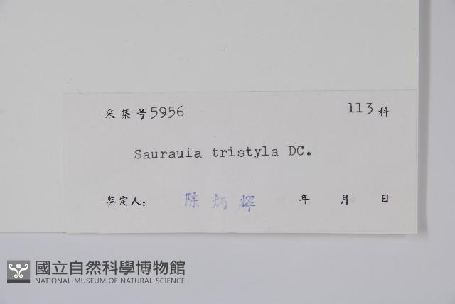 水東哥藏品圖，第2張