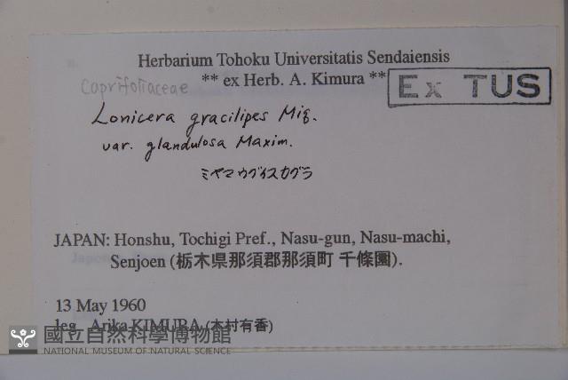 登錄號:S058394藏品圖，第2張