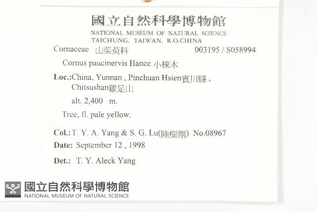 小棶木藏品圖，第2張