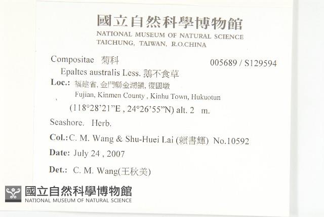 鵝不食草藏品圖，第2張