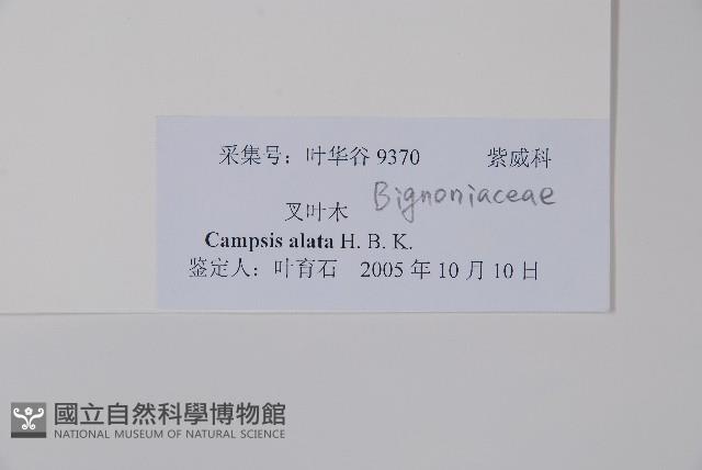 登錄號:S128594藏品圖，第2張