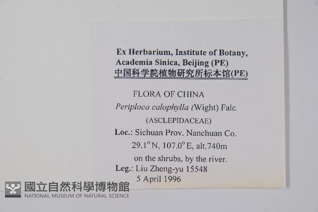 青蛇藤藏品圖，第2張