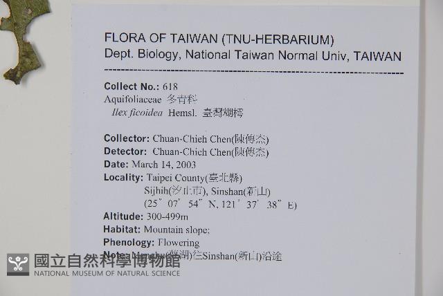 臺灣糊樗藏品圖，第2張