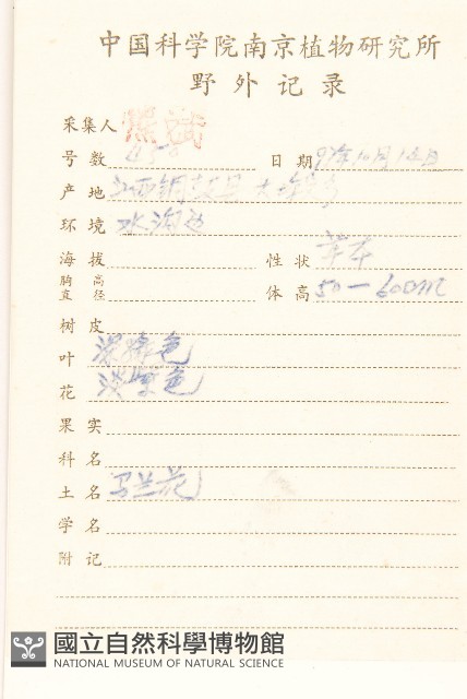 雞兒腸藏品圖，第2張
