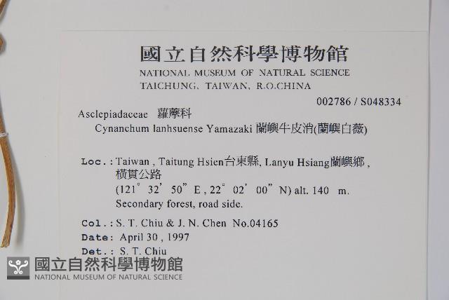 蘭嶼牛皮消、蘭嶼白薇藏品圖，第2張