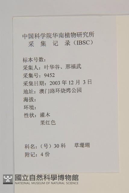 草珊瑚、紅果金粟蘭藏品圖，第2張