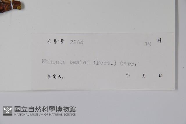 闊葉十大功勞藏品圖，第2張