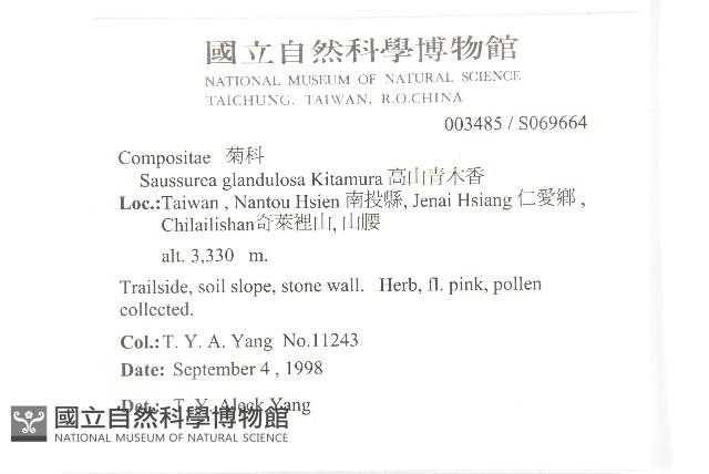 高山青木香、腺毛青木香藏品圖，第5張