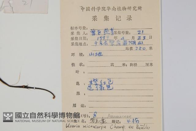 紫玉盤藏品圖，第2張