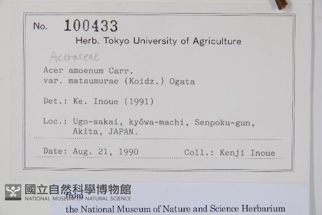 登錄號:S128064藏品圖，第2張