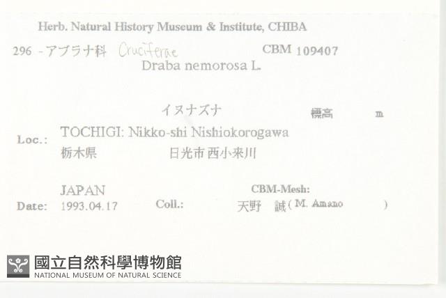 葶藶藏品圖，第2張