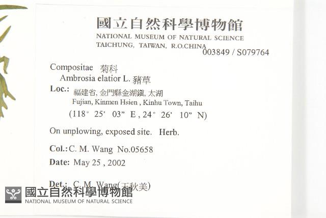 豬草藏品圖，第2張