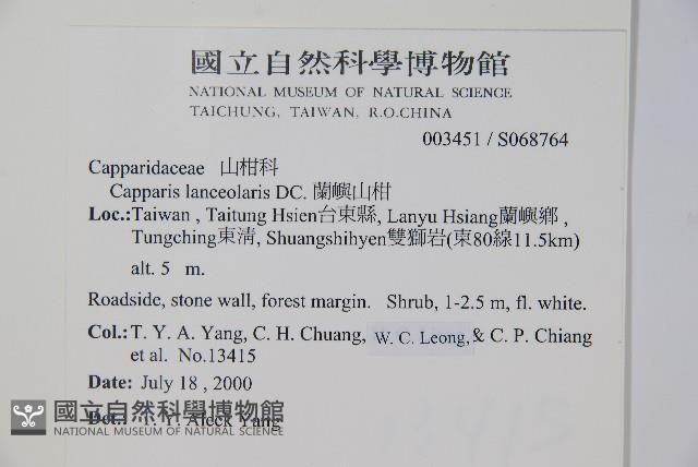 蘭嶼山柑藏品圖，第5張