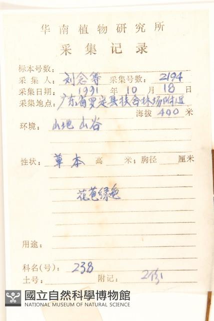 一枝黃花藏品圖，第2張