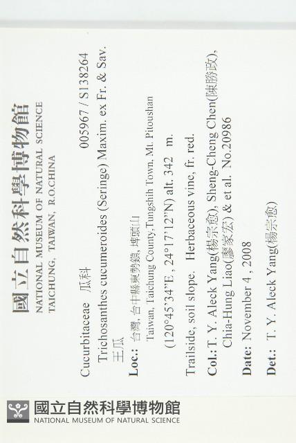 王瓜藏品圖，第2張