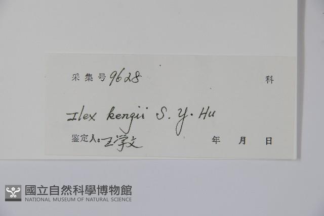 Accession Number:S038464 Collection Image, Figure 2, Total 2 Figures