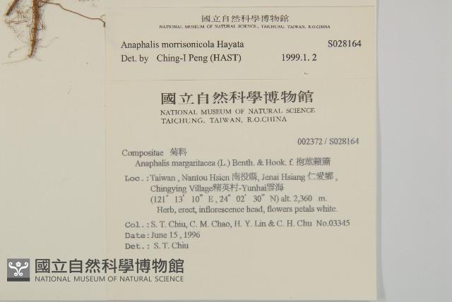 Accession Number:S028164 Collection Image, Figure 2, Total 2 Figures