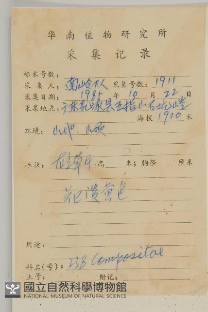 珠毛香青藏品圖，第2張