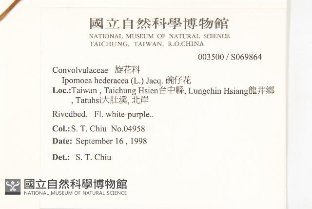 碗仔花藏品圖，第2張