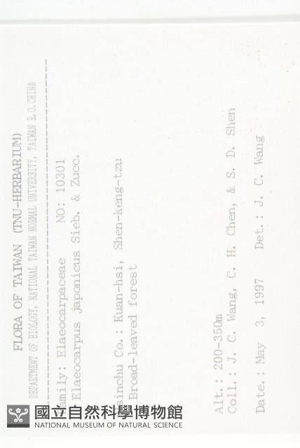 薯豆藏品圖，第2張