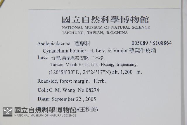 Taiwan Swallow-wort Collection Image, Figure 2, Total 2 Figures