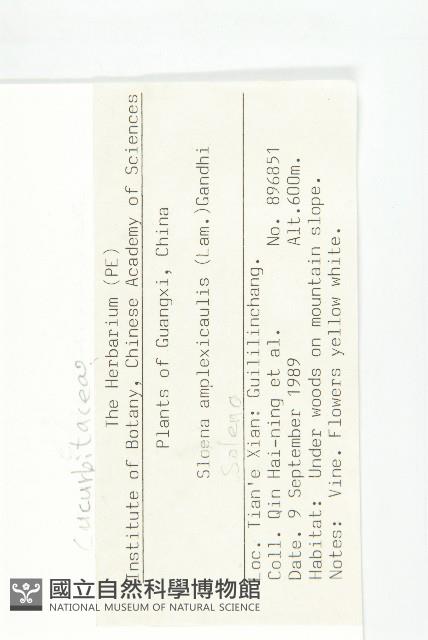 茅瓜藏品圖，第2張