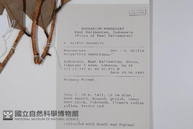 登錄號:S058864藏品圖，第2張