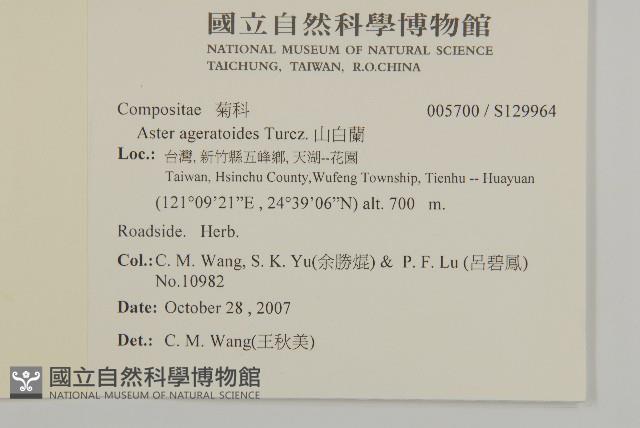 山白蘭藏品圖，第2張