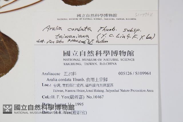 登錄號:S109964藏品圖，第2張