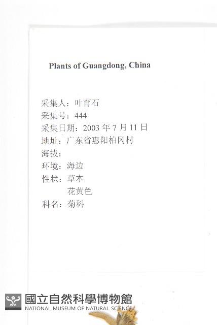 天蓬草舅藏品圖，第2張