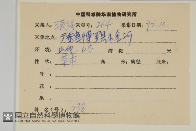 蓮沱兔兒風藏品圖，第2張