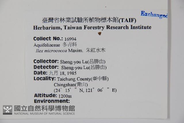 朱紅水木藏品圖，第2張