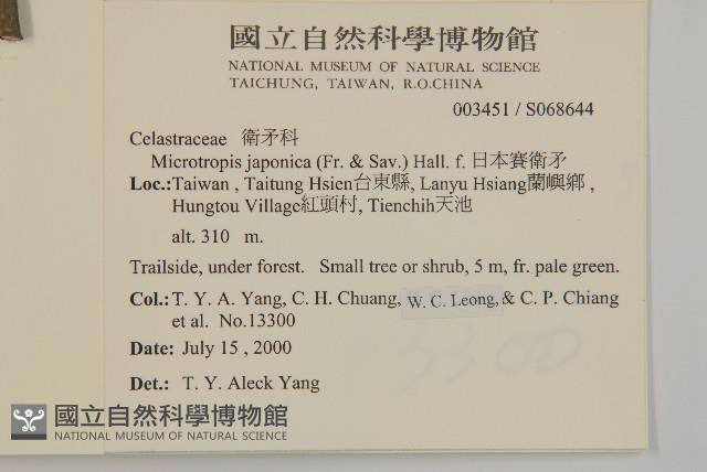 日本賽衛矛、日本假衛矛藏品圖，第2張