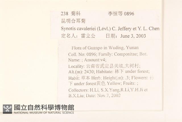 昆明合耳菊藏品圖，第2張
